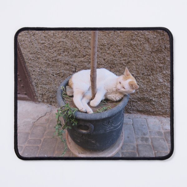 Item preview, wrapped cat designed and sold by AHELENE.