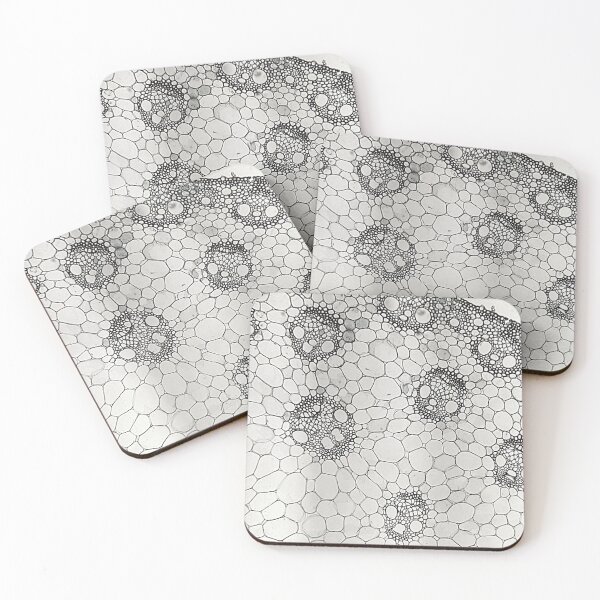 Item preview, Skull-like vascular bundles designed and sold by Peacemountain Adventures.
