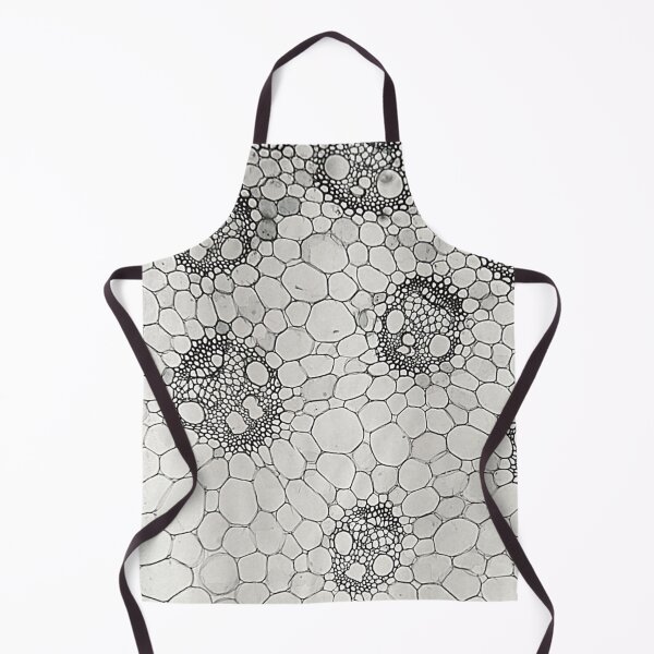 Item preview, Skull-like vascular bundles designed and sold by Peacemountain Adventures.