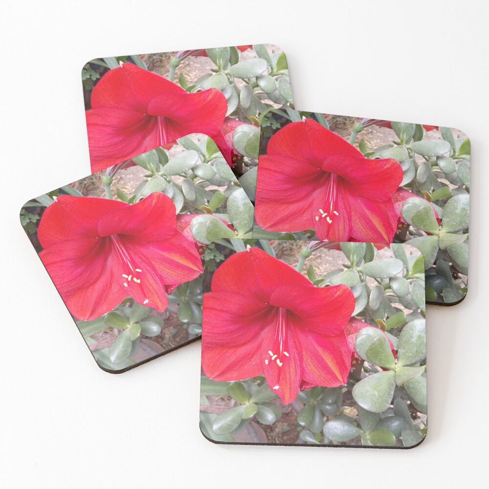 Item preview, Coasters (Set of 4) designed and sold by Ricel.