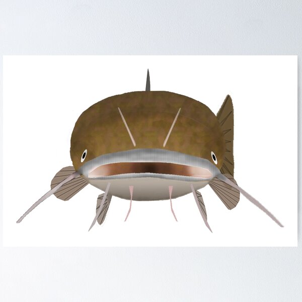 Item preview, Flathead Catfish - Cabeza de pescado designed and sold by fishfolkart.