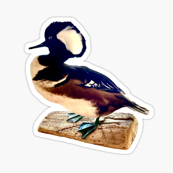 Duck On Driftwood Sticker
