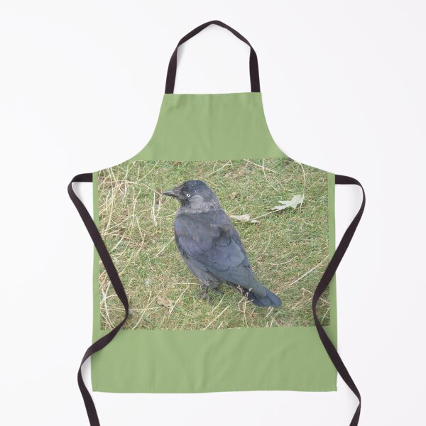 Item preview, Western Jackdaw with a Beady Eye Photograph designed and sold by naturegallery.