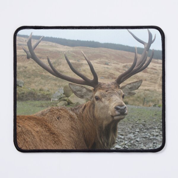 Item preview, Stag designed and sold by ThePlumb.
