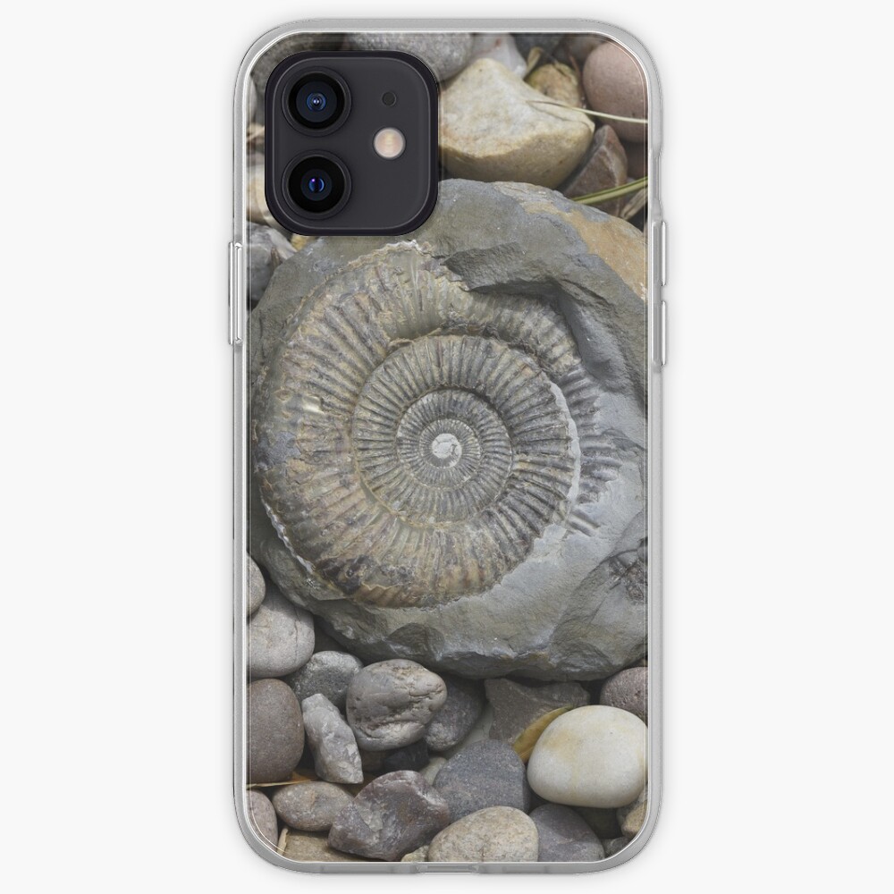 fossil with iphone