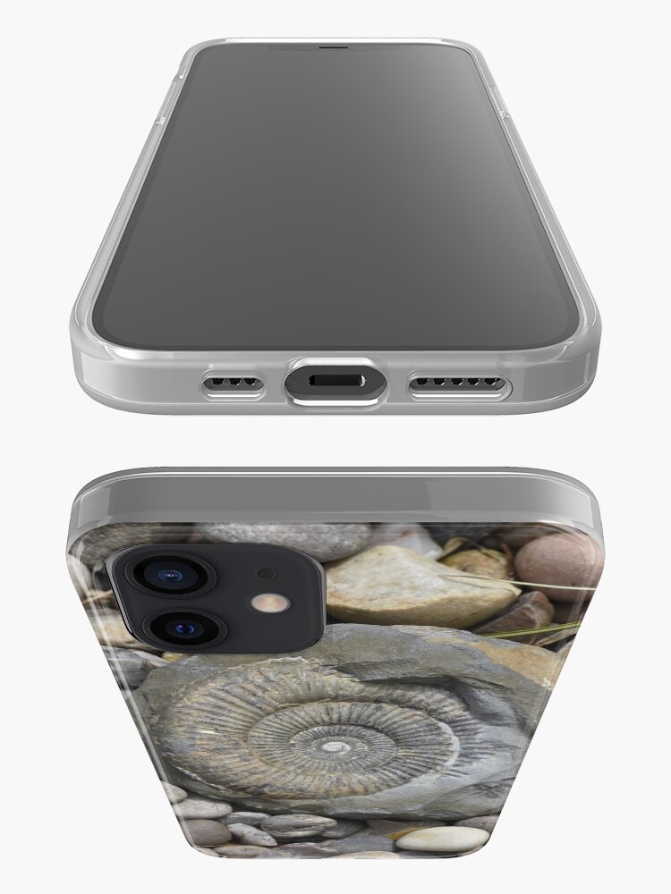 iphone fossil