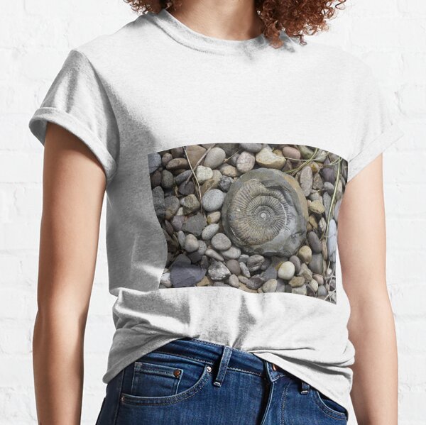 Item preview, Ammonite Fossil designed and sold by Simon1965.
