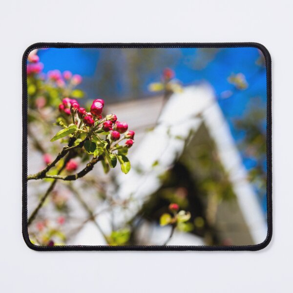 Item preview, Spring. Sprang. Sprung.. designed and sold by tutulele.