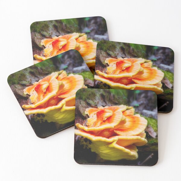 Item preview, Bracket Fungi 1 designed and sold by Robert Alsop.