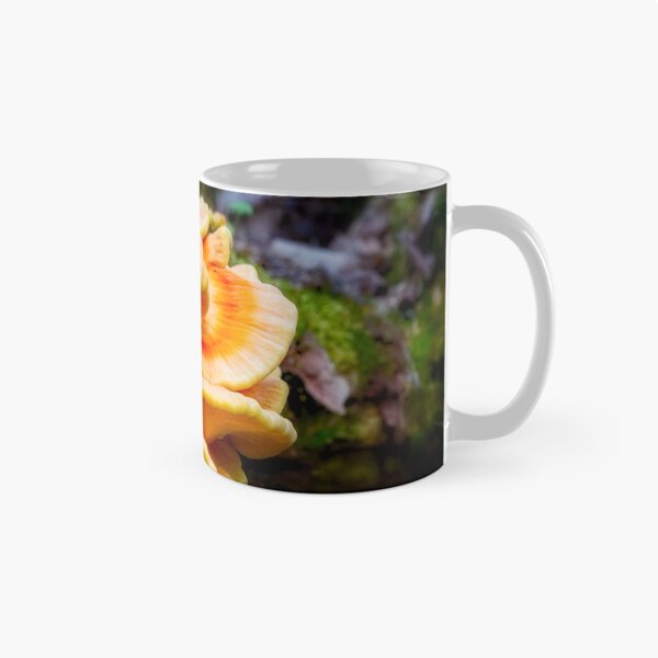 Item preview, Bracket Fungi 1 designed and sold by Robert Alsop.