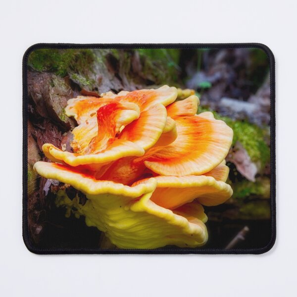 Item preview, Bracket Fungi 1 designed and sold by Robert Alsop.