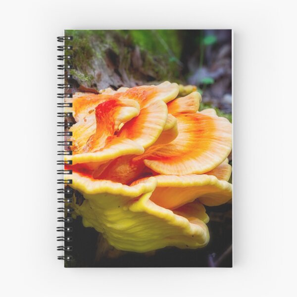 Item preview, Bracket Fungi 1 designed and sold by Robert Alsop.