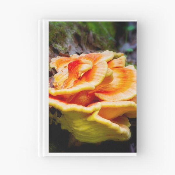 Item preview, Bracket Fungi 1 designed and sold by Robert Alsop.