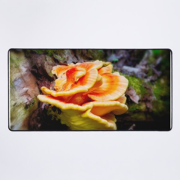 Item preview, Bracket Fungi 1 designed and sold by Robert Alsop.