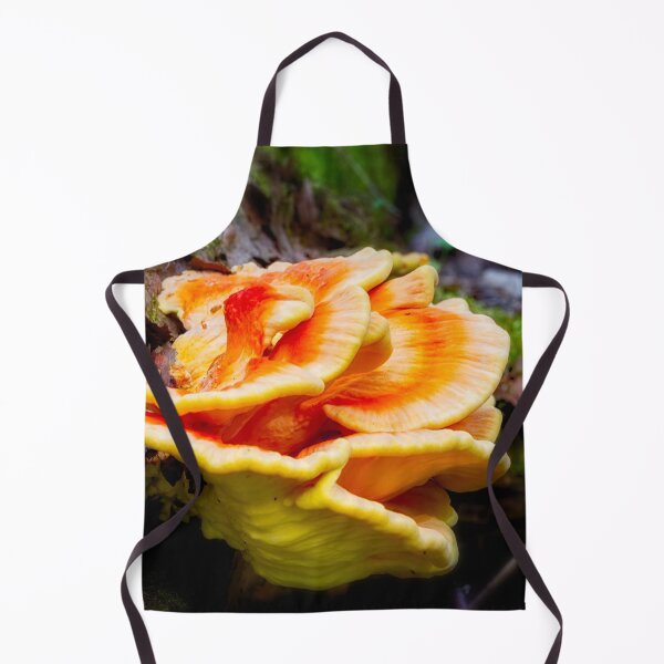 Item preview, Bracket Fungi 1 designed and sold by Robert Alsop.