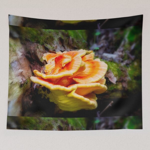 Item preview, Bracket Fungi 1 designed and sold by Robert Alsop.