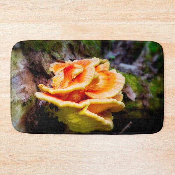 Item preview, Bracket Fungi 1 designed and sold by Robert Alsop.