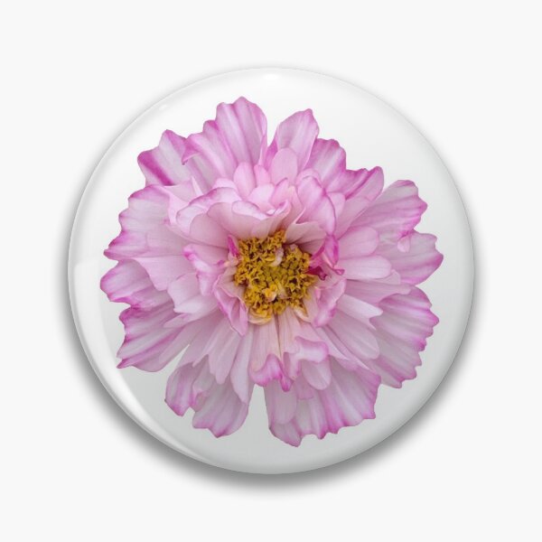 Item preview, Pink Cosmos Flower Still Life Floral Photography designed and sold by CottoVerdi.