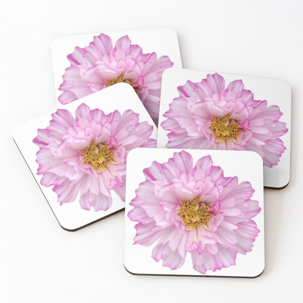 Item preview, Pink Cosmos Flower Still Life Floral Photography designed and sold by CottoVerdi.