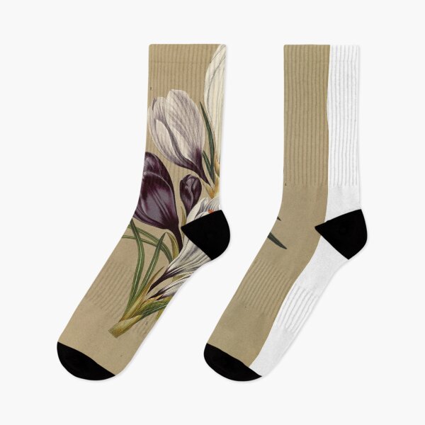 Item preview, Lilium Speciosum Rubrum designed and sold by marcilio.