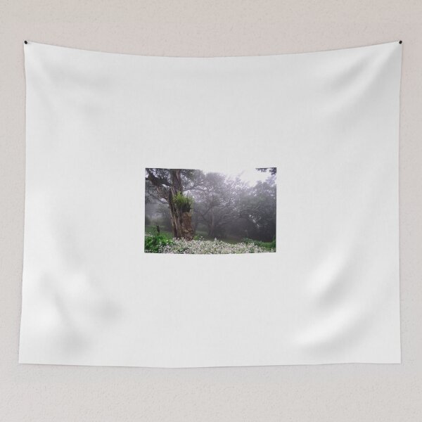 Item preview, Misty Forest. designed and sold by SeanMichTurner.
