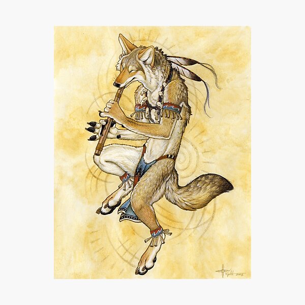 Song Dog Photographic Print