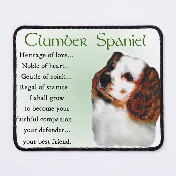 Item preview, Clumber Spaniel Puppy Love Art Gifts designed and sold by springdaleshops.