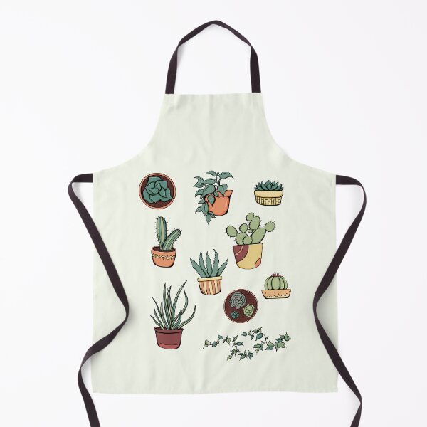 10 cute and unique succulents Apron