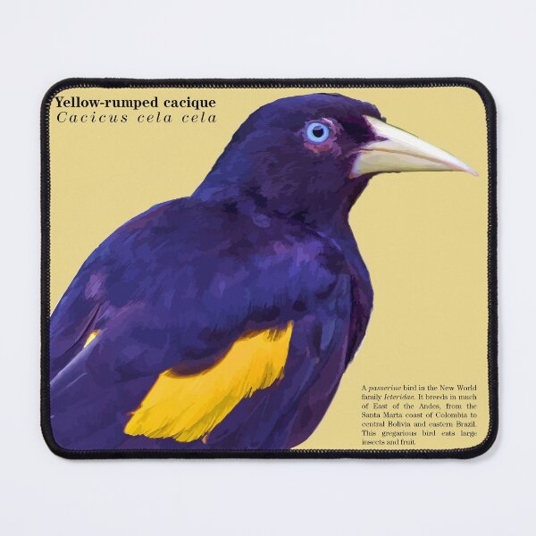 Item preview, Yellow-rumped cacique bird in the morning sun designed and sold by Mauricio Acosta.