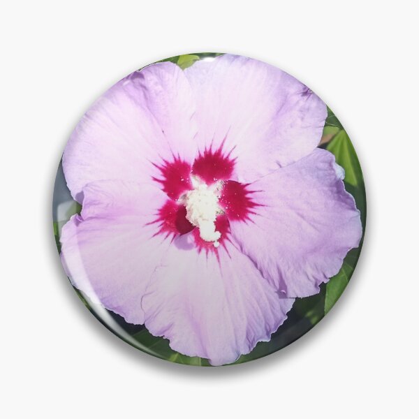 Item preview, Hawaiian hawk Russian Violet designed and sold by Bettina2311.