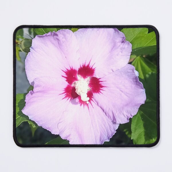 Item preview, Hawaiian hawk Russian Violet designed and sold by Bettina2311.