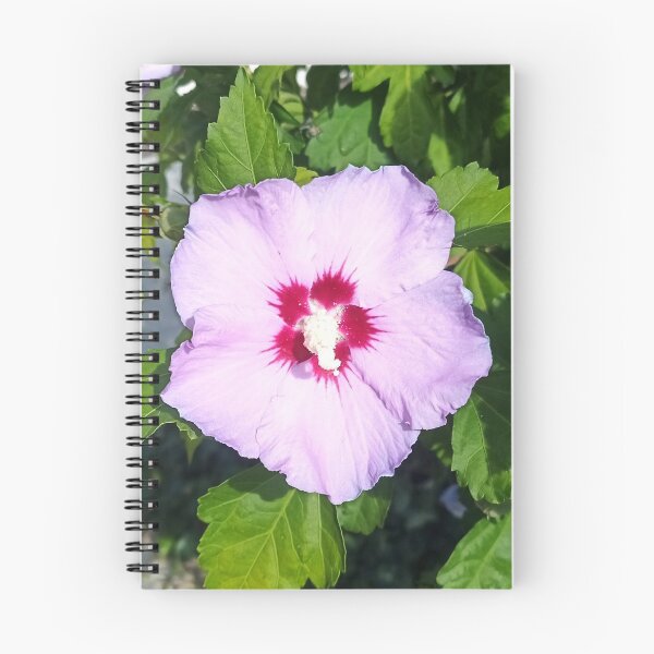 Item preview, Hawaiian hawk Russian Violet designed and sold by Bettina2311.