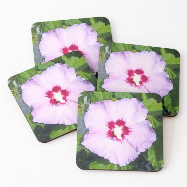 Item preview, Hawaiian hawk Russian Violet designed and sold by Bettina2311.