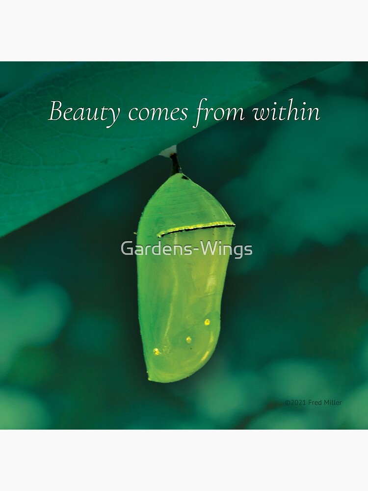 Beauty Comes From Within by Gardens-Wings