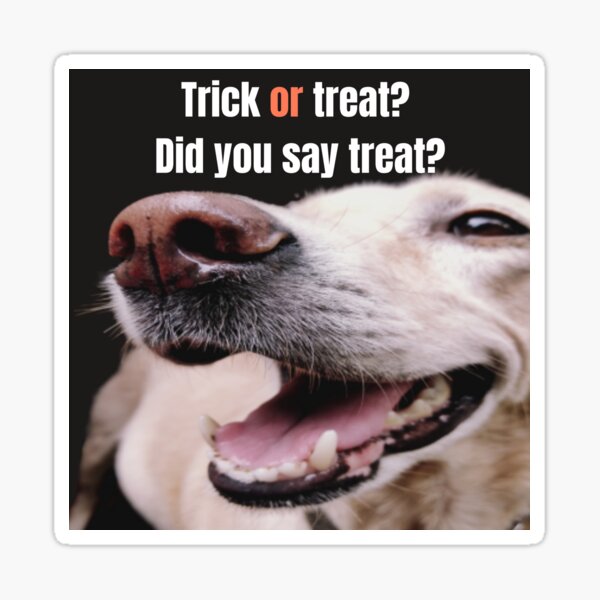 Trick or treat?...Did you say treat? Sticker