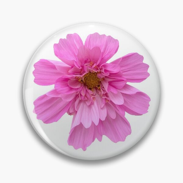 Item preview, Pink Cosmos Flower Still Life Floral Photography designed and sold by CottoVerdi.