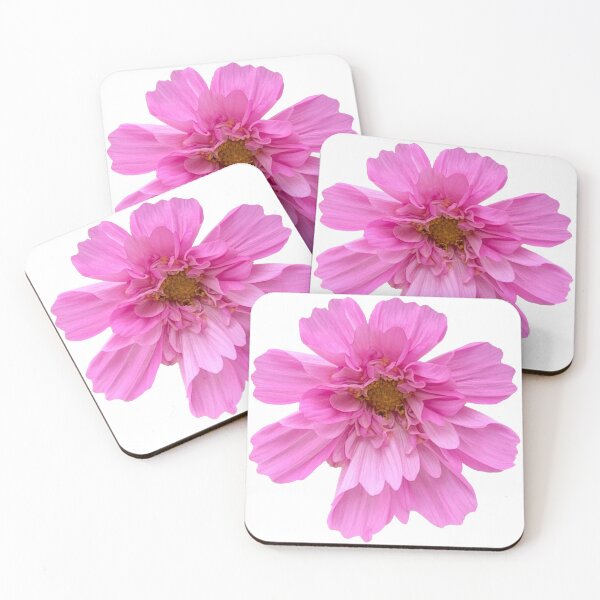Item preview, Pink Cosmos Flower Still Life Floral Photography designed and sold by CottoVerdi.