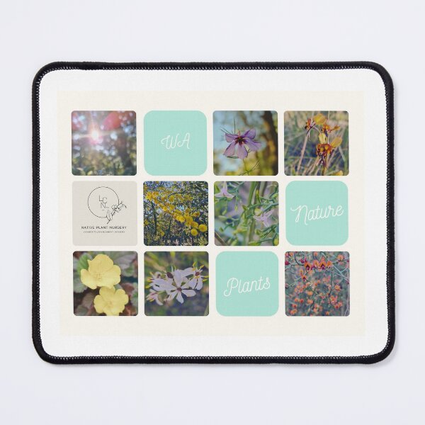 Item preview, WA native flowers, LCN designed and sold by LCNNativePlants.