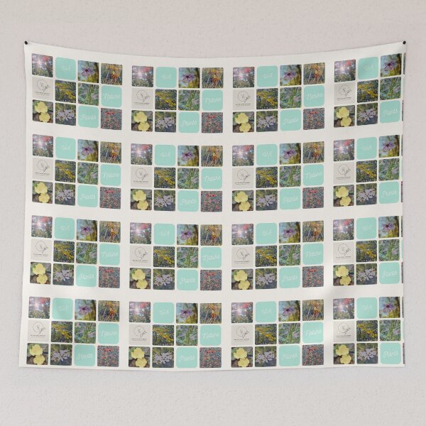 Item preview, WA native flowers, LCN designed and sold by LCNNativePlants.