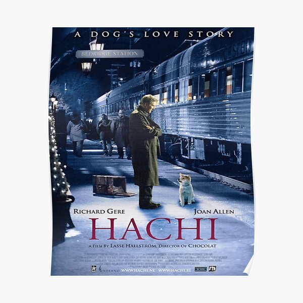 hachi a dogs tale poster