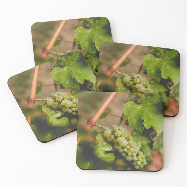 Item preview, Okanagan Vines II, West Kelowna | Landscape Photo Print designed and sold by admkng.
