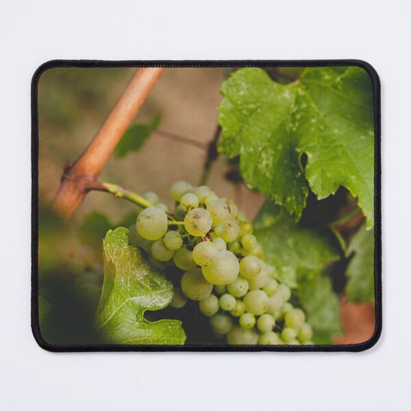 Item preview, Okanagan Vines II, West Kelowna | Landscape Photo Print designed and sold by admkng.