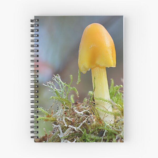 Item preview, Hygrocybe Persistens designed and sold by relayer51.