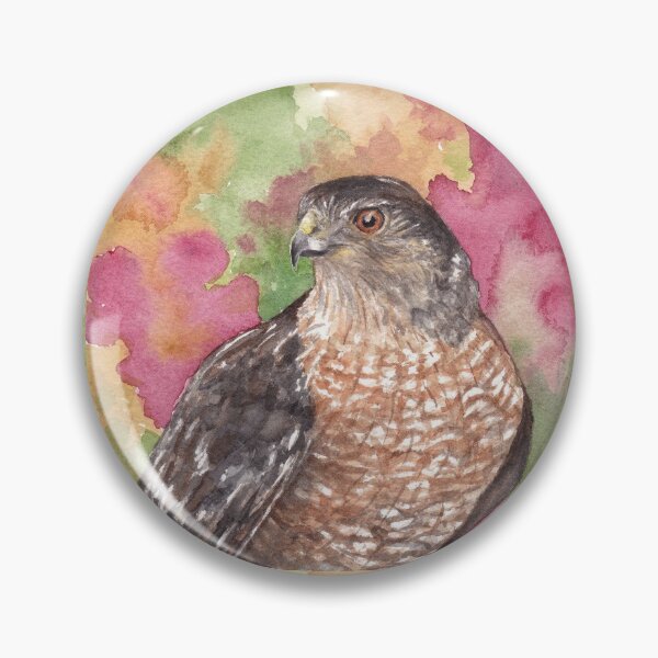 Item preview, Cooper's Hawk, Sonoran Desert designed and sold by tracyannholmes.