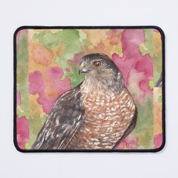 Item preview, Cooper's Hawk, Sonoran Desert designed and sold by tracyannholmes.