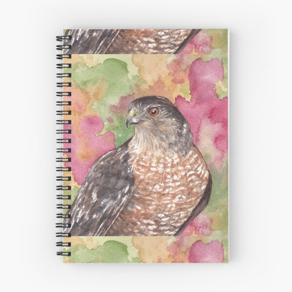 Artikelvorschau, Cooper's Hawk, Sonora-Wüste entworfen und verkauft von tracyannholmes.