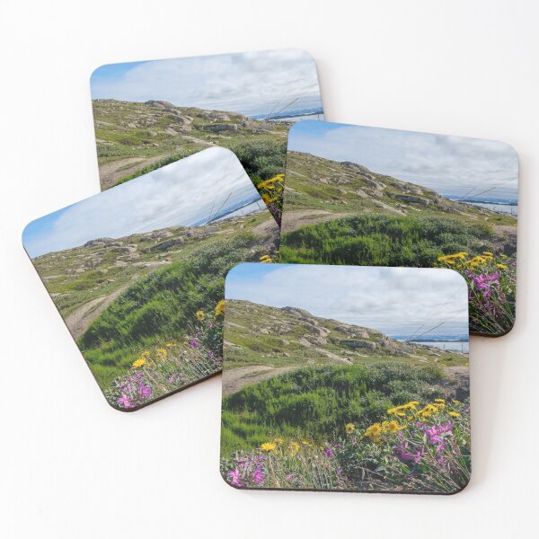 Item preview, Iqaluit, Nunavut in summer: wildflowers in the tundra designed and sold by VadimK.