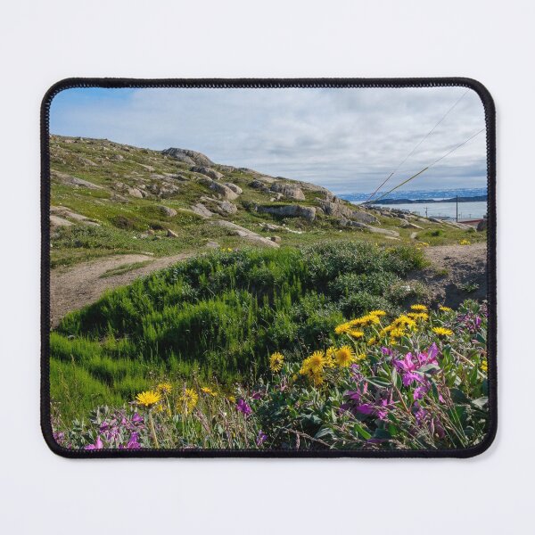 Item preview, Iqaluit, Nunavut in summer: wildflowers in the tundra designed and sold by VadimK.