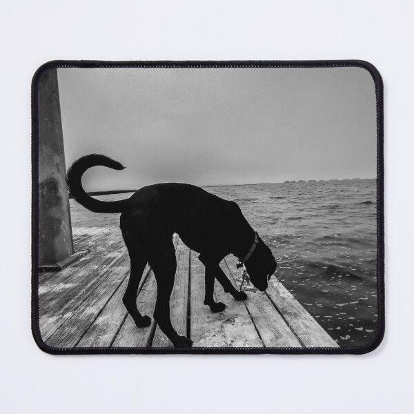 Item preview, Curious Pup's First Time at Sea designed and sold by Uncle Willy's Collective.