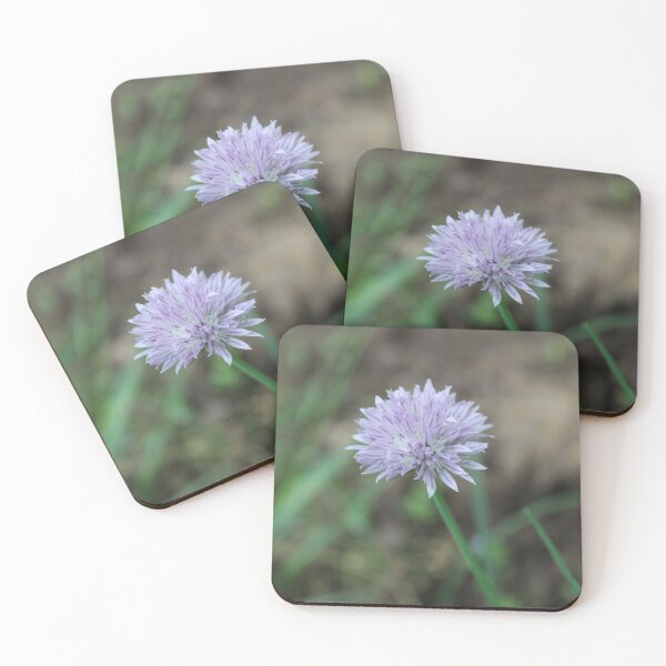 Item preview, Green Onion Blossom in Garden Photographic Image designed and sold by AustaArt.